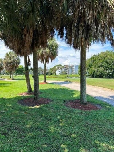 1811 Sabal Palm Dr, Unit 204, Davie, FL 33324 Photo