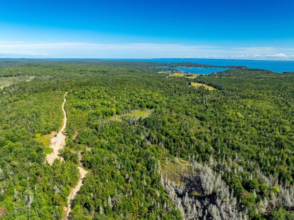 Map 2 Lot 45,46,55 , Trescott Twp, ME 04652