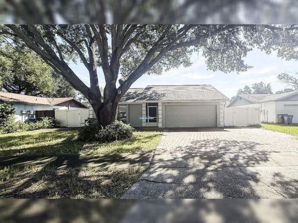 11205 PARTRIDGE DRIVE, TAMPA, FL 33625