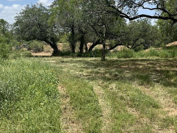 946 County Road 2863, Bigfoot, TX 78006