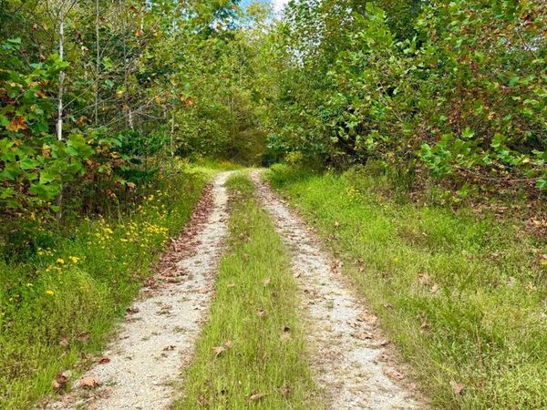 0 Roy Rogers Road, Lucasville, OH 45648