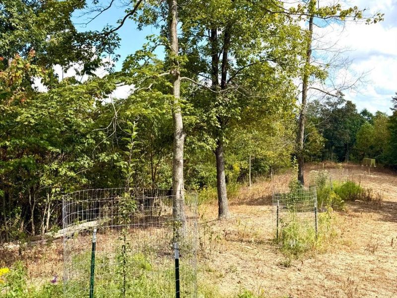 0 Roy Rogers Road, Lucasville, OH 45648 Photo 30