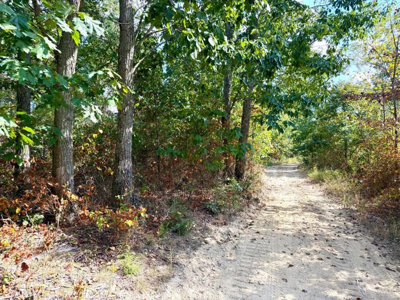 0 Roy Rogers Road, Lucasville, OH 45648 Photo 35