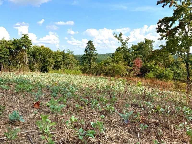 0 Roy Rogers Road, Lucasville, OH 45648 Photo 60