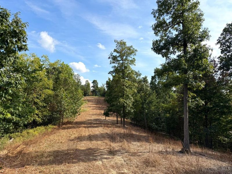 0 Roy Rogers Road, Lucasville, OH 45648 Photo 62