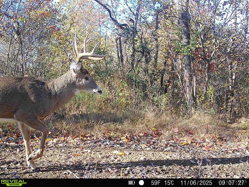 0 Roy Rogers Road, Lucasville, OH 45648 Photo 95