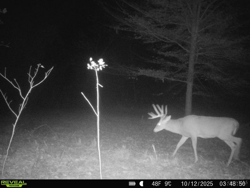 0 Roy Rogers Road, Lucasville, OH 45648 Photo 96
