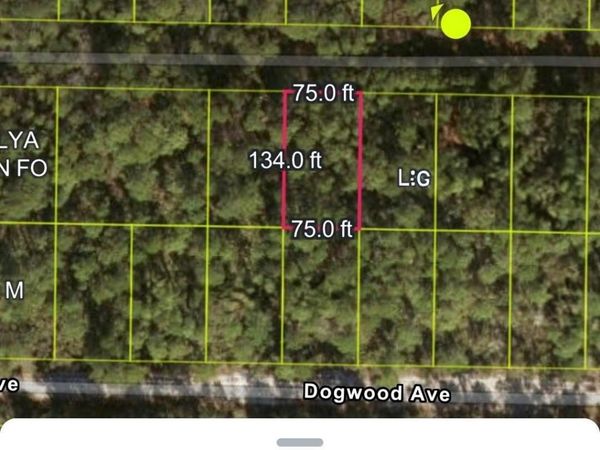 115 Palm Way, Georgetown, FL 32139