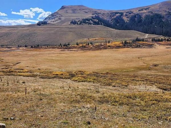 TBD Forest Service Road 330, South Fork, CO 81154