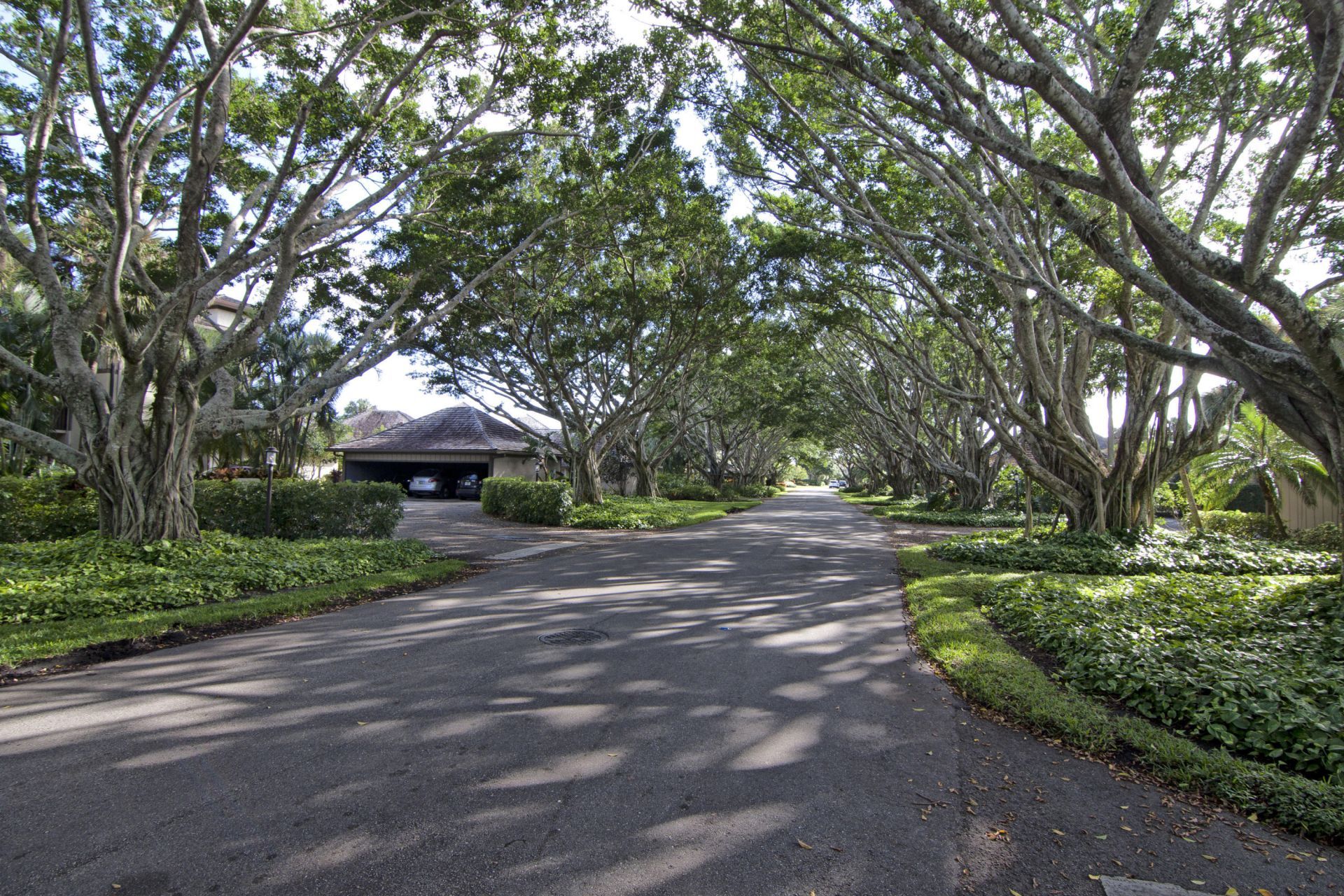2735 Polo Island Drive, Unit K102, Wellington, FL 33414 Photo
