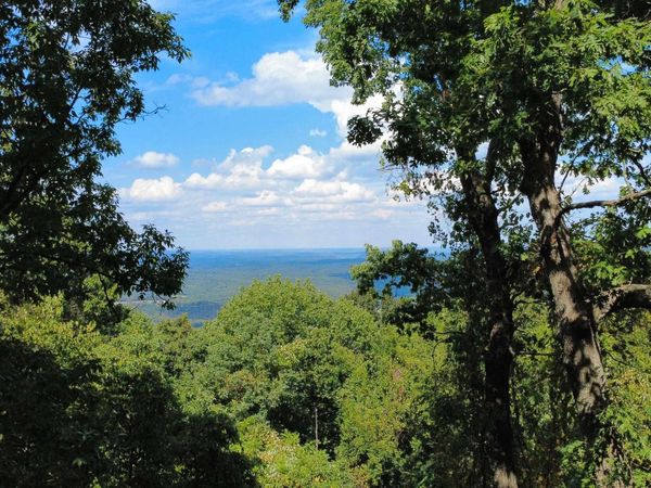 4520 Iron Mountain Road , Mountain View, AR 72560