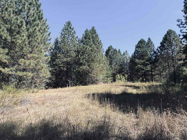 TBD Dalton Acres Rd, Clearwater, ID 83552