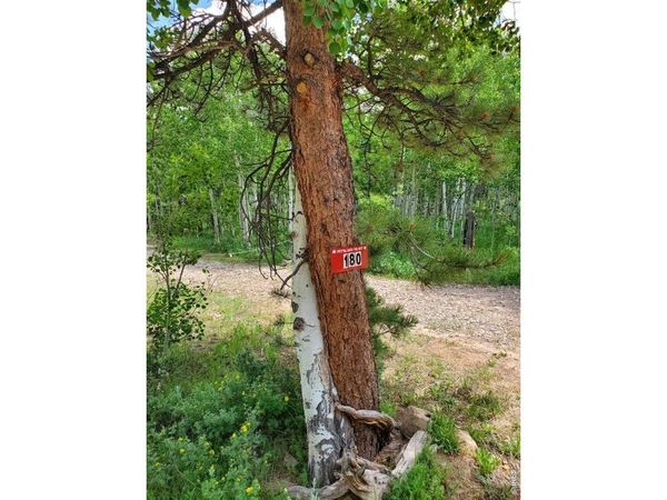 180 Yuki Dr, Red Feather Lakes, CO 80545