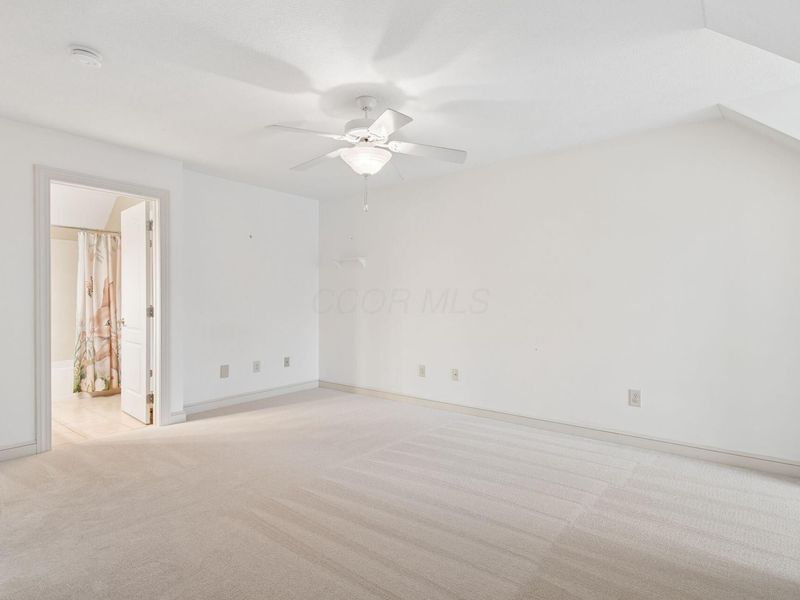 3121 Summertrail Court, Galena, OH 43021 Photo 39