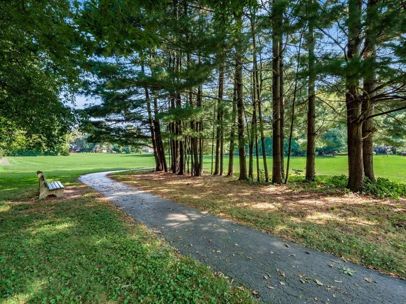 3121 Summertrail Court, Galena, OH 43021 Photo 56