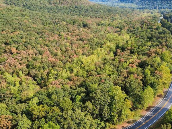 0 Hwy 9 South Highway , Mountain View, AR 72560