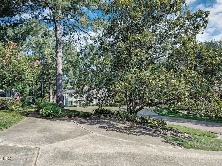 Property Image 59