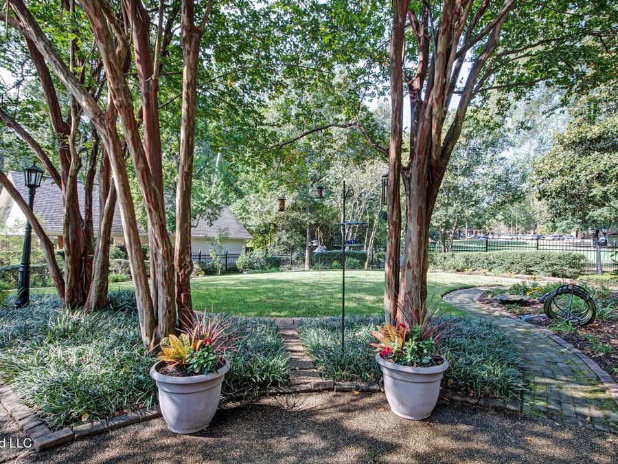 Property Image 61