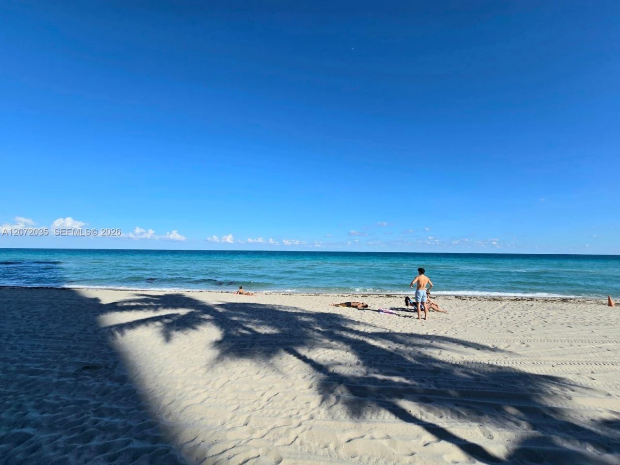 3001 S Ocean Dr, Unit 649, Hollywood, FL 33019 Photo