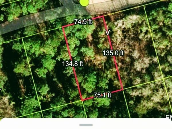 109 Roebuck Road, Georgetown, FL 32139