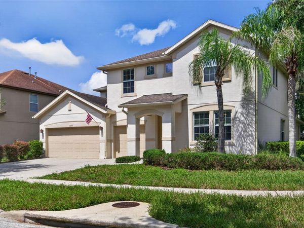 15718 STARLING DALE LANE, LITHIA, FL 33547