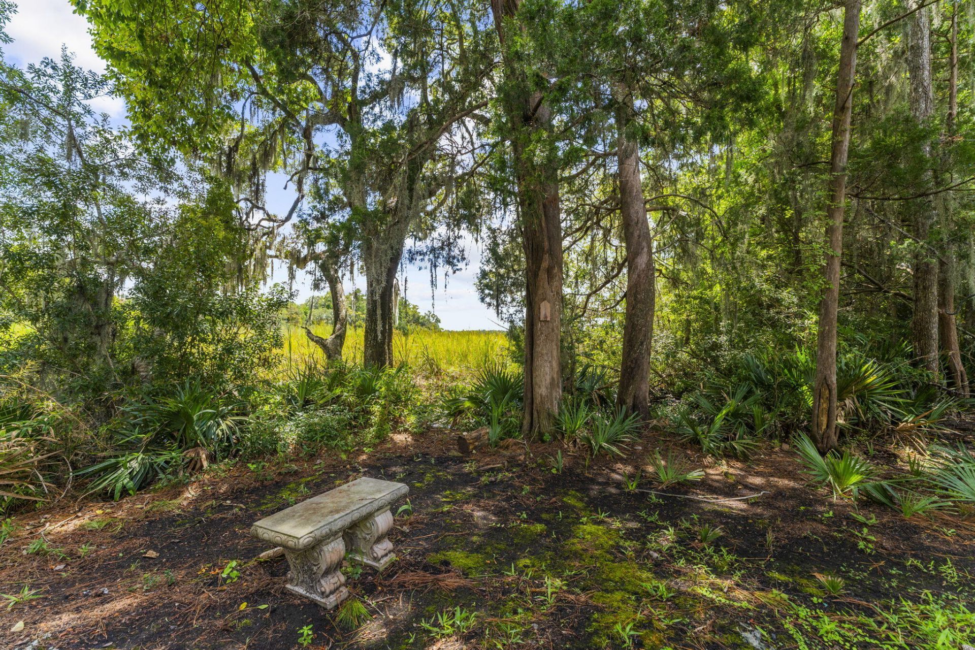 8589 Refuge Point Circle Photo 88