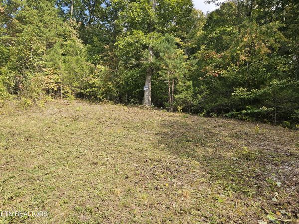 Lot 17 Saddleridge Drive, Speedwell, TN 37870
