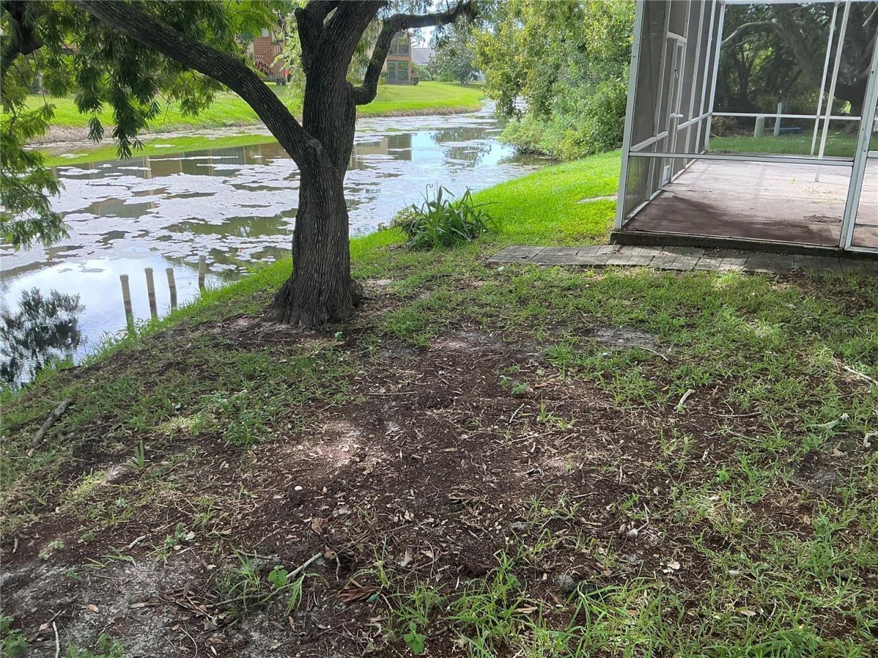 3900 Edgemont Drive, New Port Richey, FL 34652 Photo