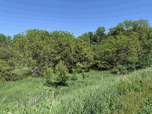 265th Avenue, Spillville, IA 52168
