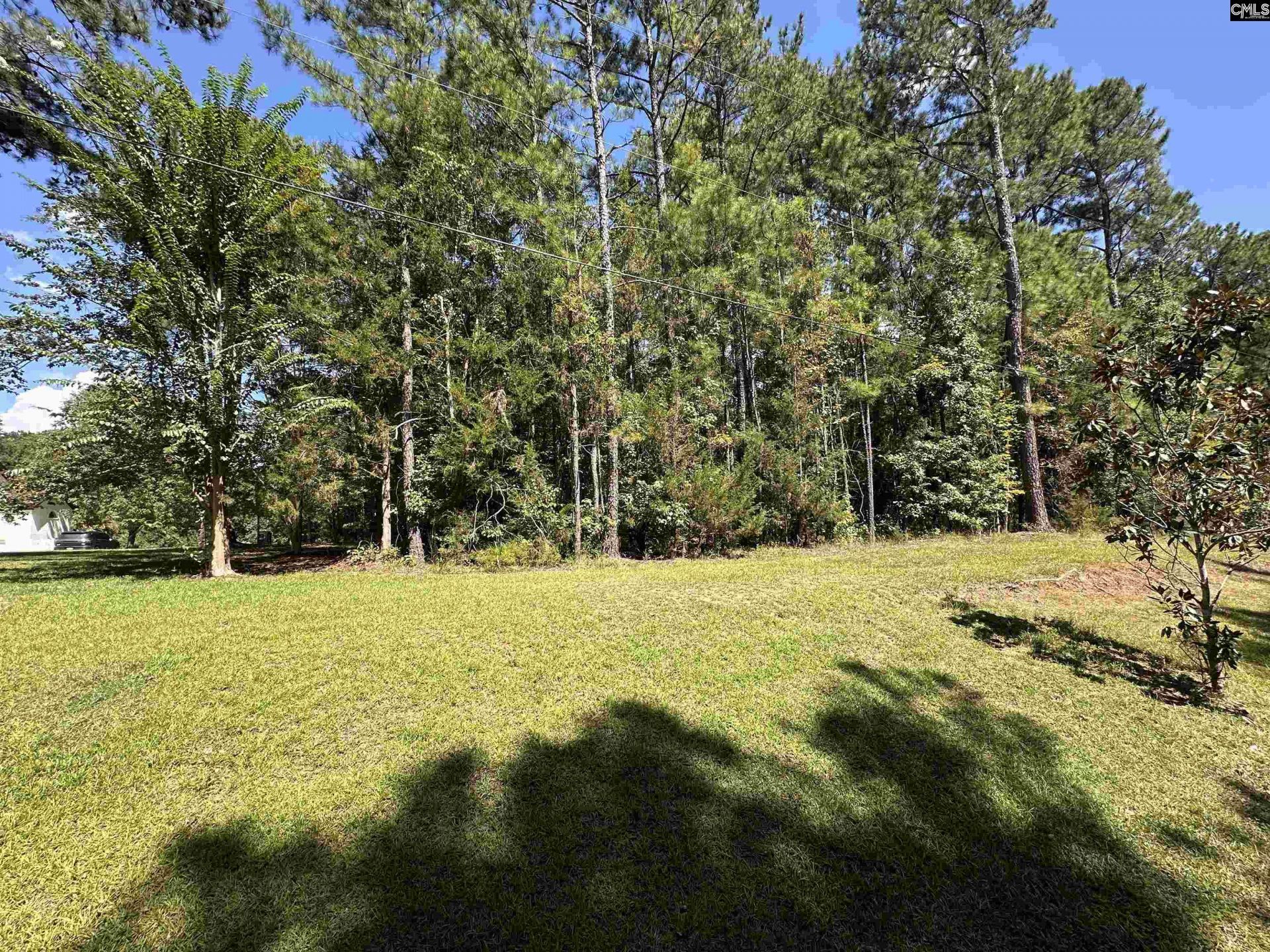 143 Eagle Chase Court  Photo 4