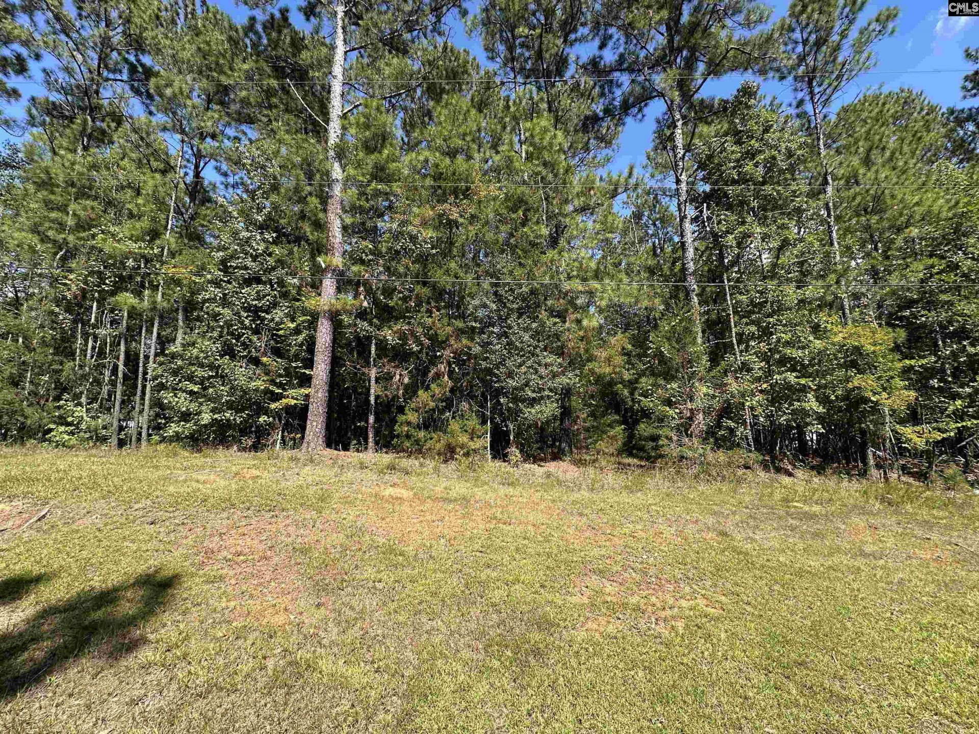 143 Eagle Chase Court  Photo 5