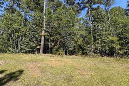 143 Eagle Chase Court  photo 4