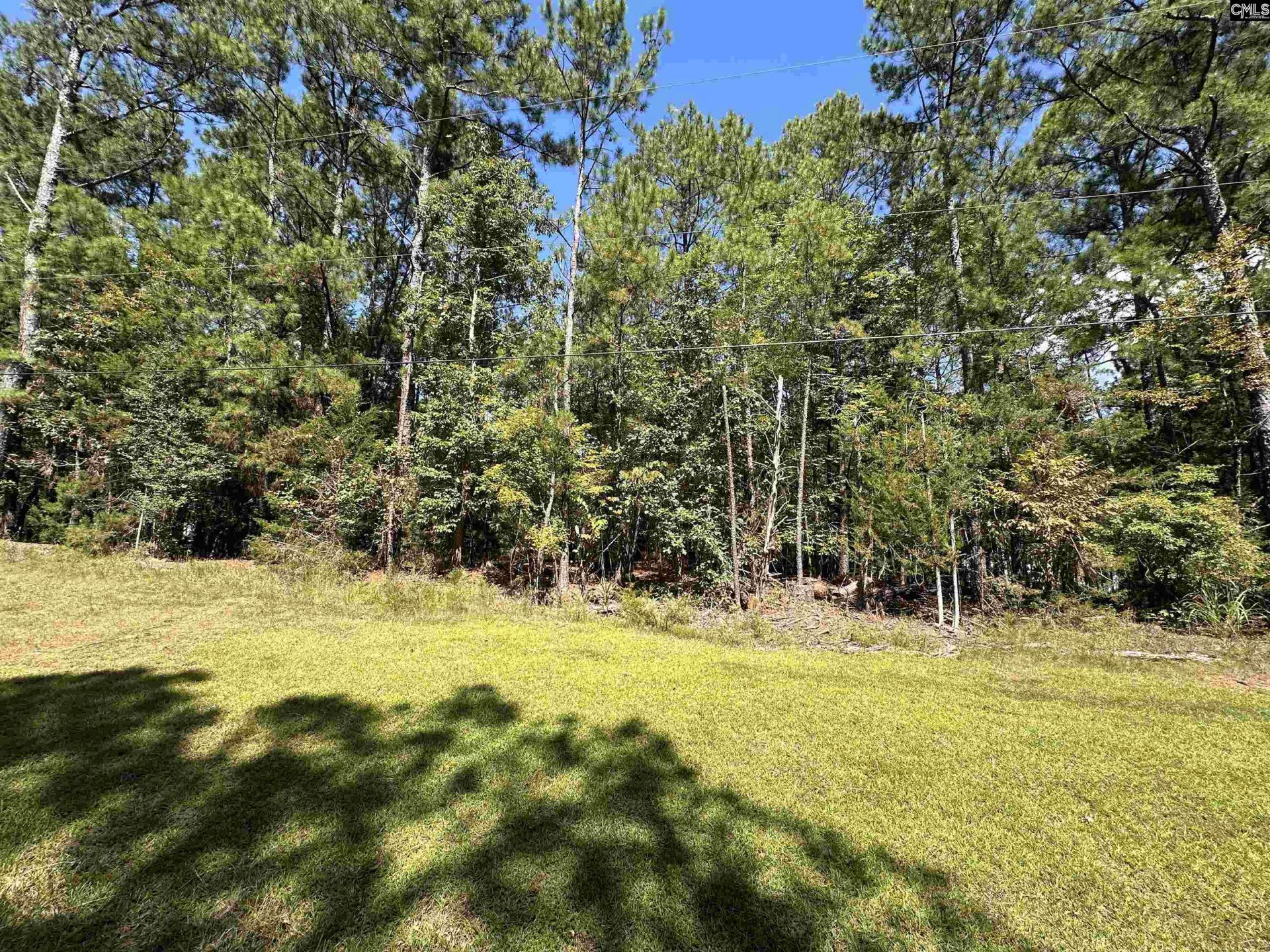 143 Eagle Chase Court  Photo 6