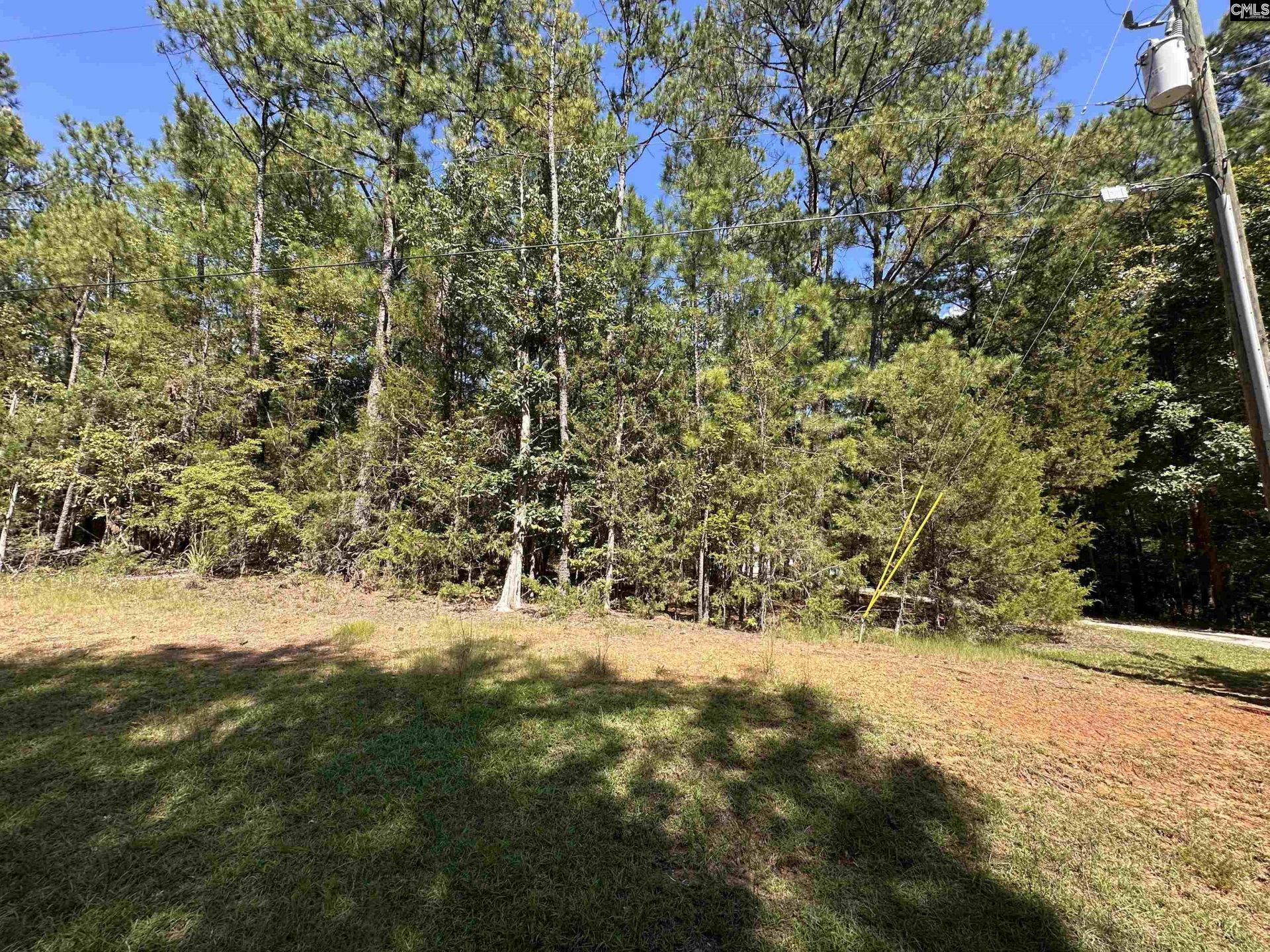 143 Eagle Chase Court  Photo 7
