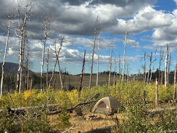LOT 2518 Shapiro Lane , Fort Garland, CO 81133