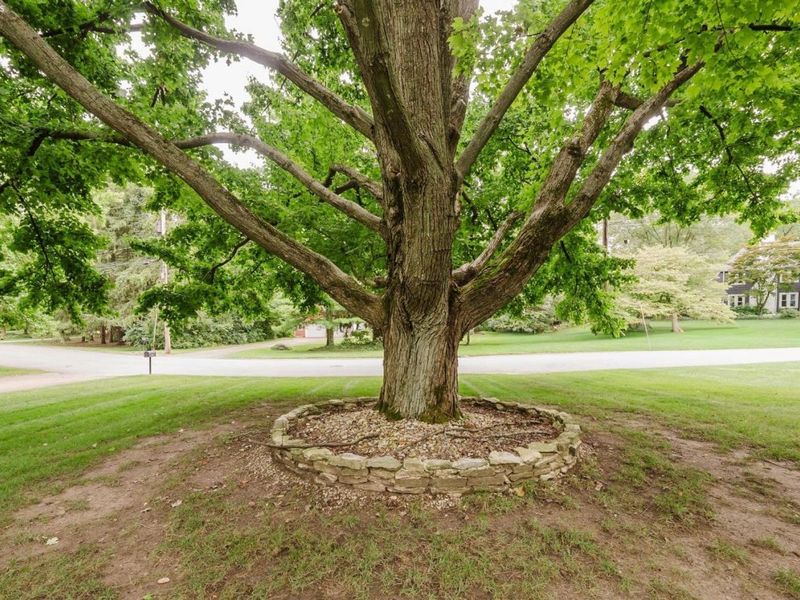 3907 Autumn Drive, Huron, OH 44839 Photo 13