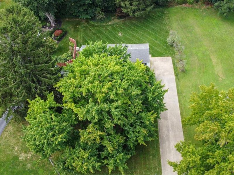 3907 Autumn Drive, Huron, OH 44839 Photo 72