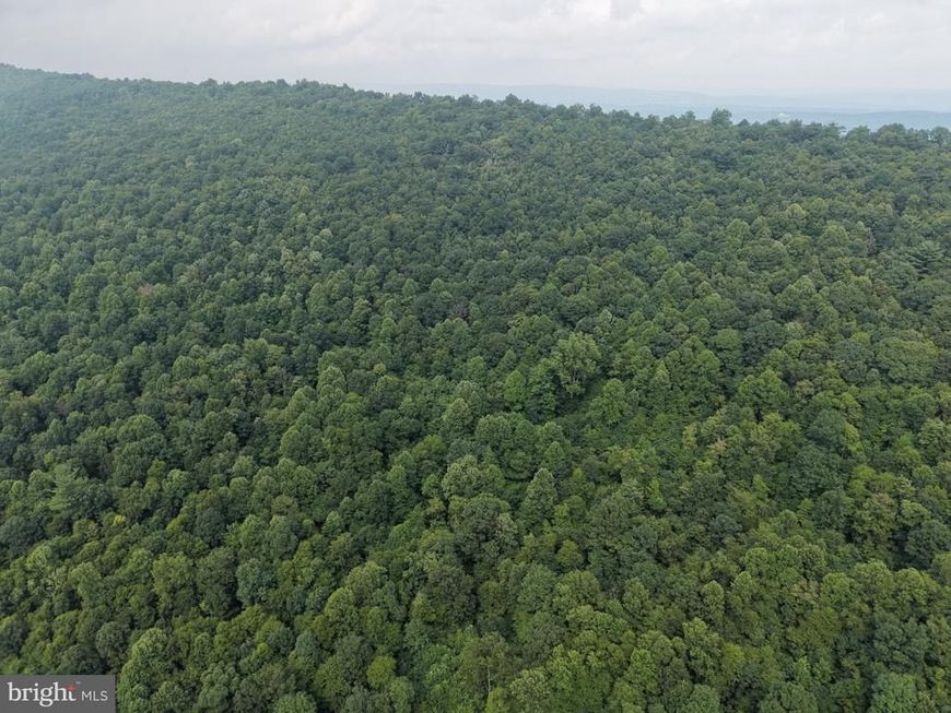 Tract 2: 30.99+/- Acres At 872 Fischer Rd, Warfordsburg, PA 17267 Main Photo