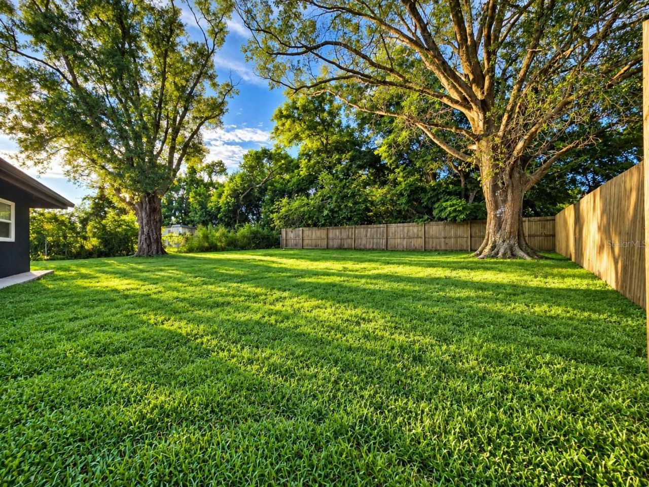 5718 Mallow Street, New Port Richey, FL 34652 Photo