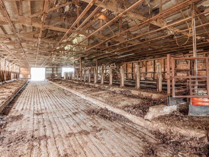 6642 Bennington Chapel Road, Centerburg, OH 43011 Photo 61