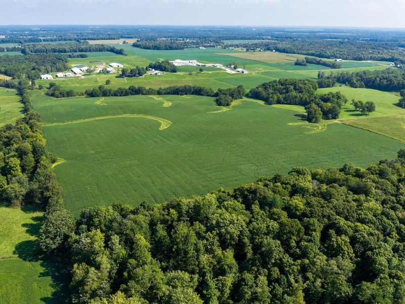 6642 Bennington Chapel Road, Centerburg, OH 43011 Photo 80