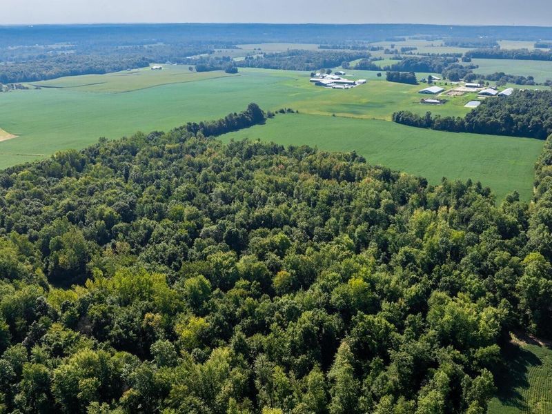 6642 Bennington Chapel Road, Centerburg, OH 43011 Photo 85