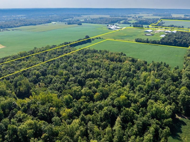 6642 Bennington Chapel Road, Centerburg, OH 43011 Photo 86