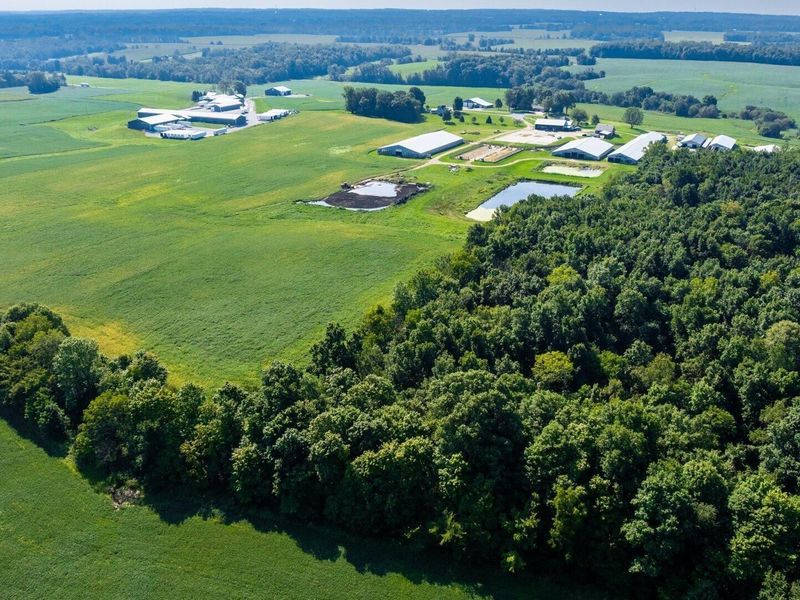 6642 Bennington Chapel Road, Centerburg, OH 43011 Photo 89