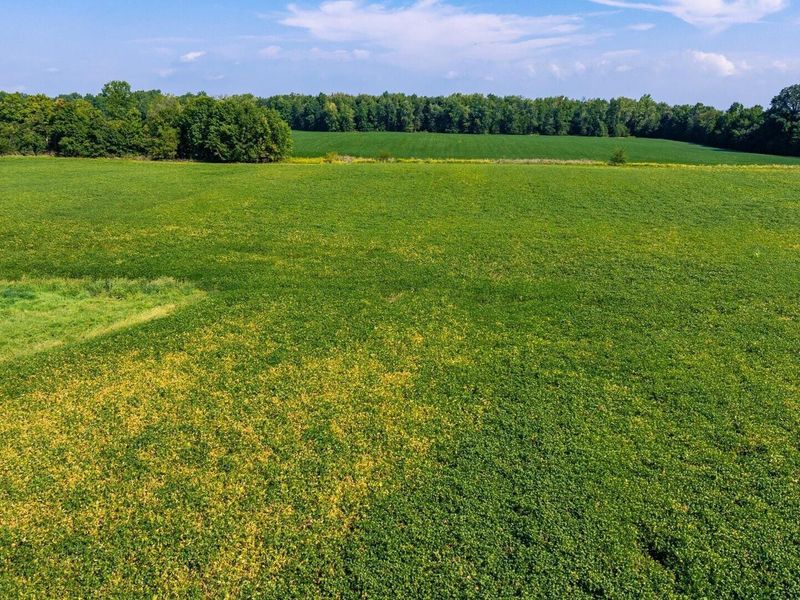 6642 Bennington Chapel Road, Centerburg, OH 43011 Photo 92