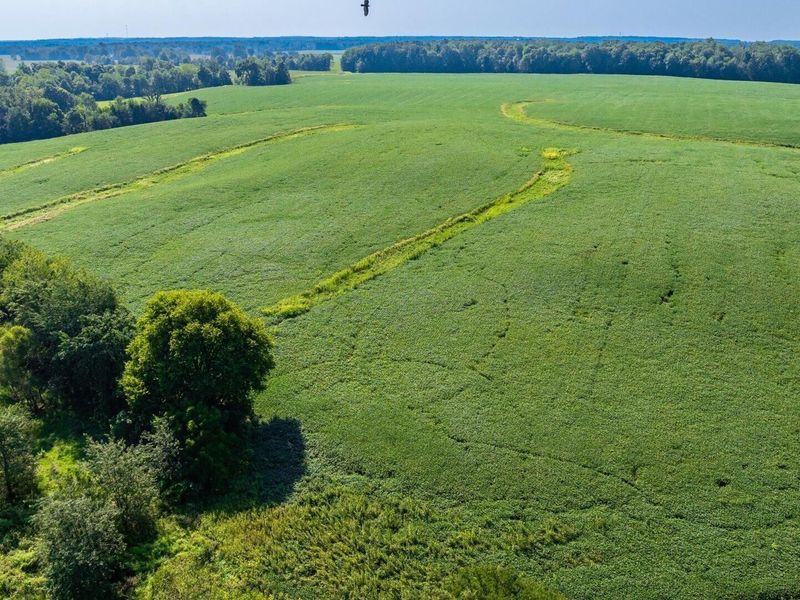 6642 Bennington Chapel Road, Centerburg, OH 43011 Photo 97