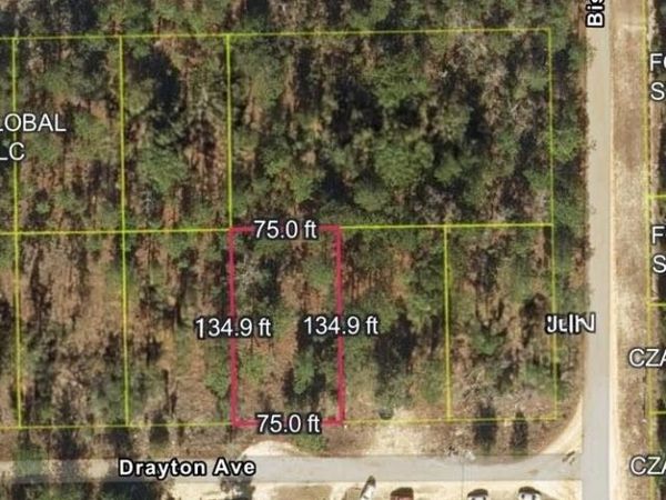 000 Drayton Avenue, Interlachen, FL 32148