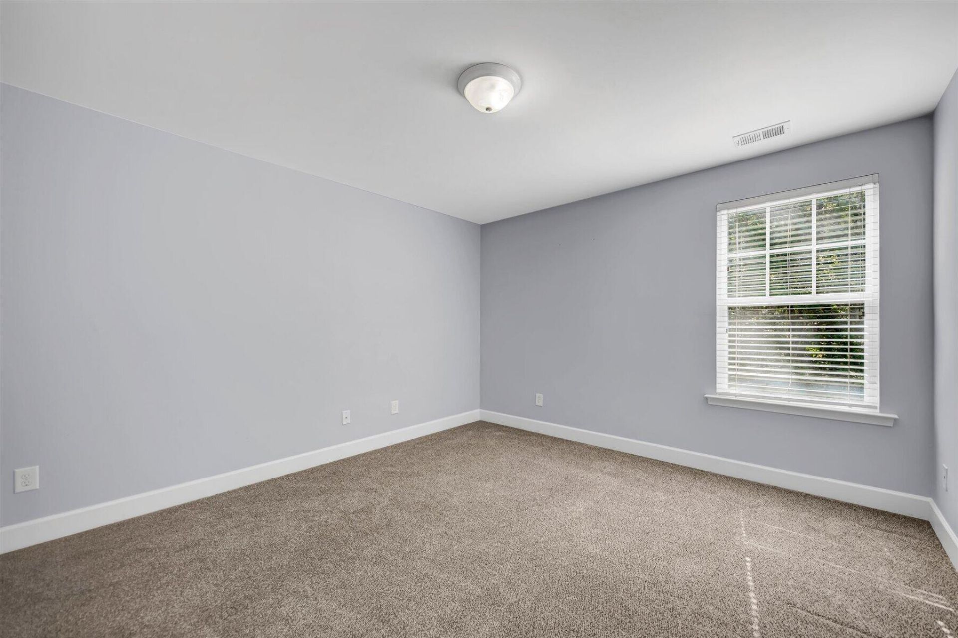223 Buttonbush Court Photo 17