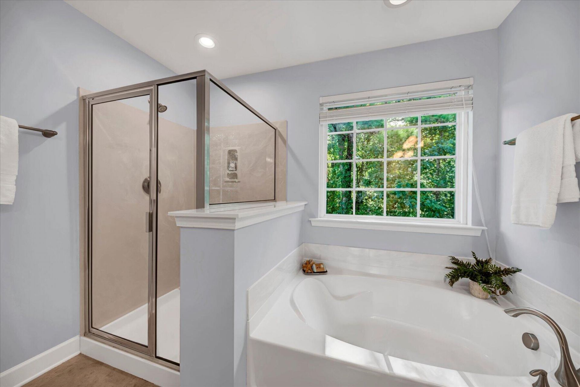 223 Buttonbush Court Photo 22