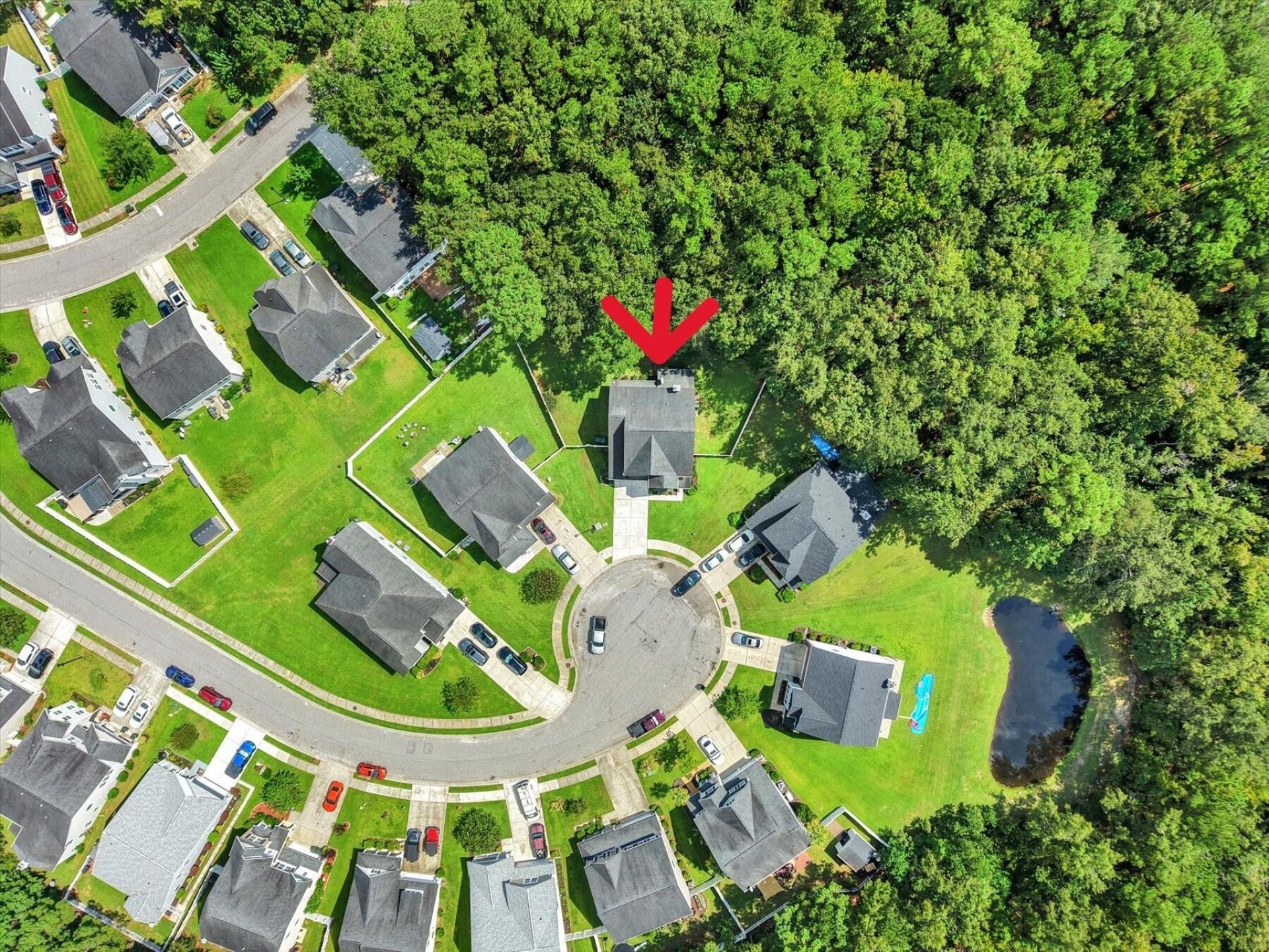223 Buttonbush Court Photo 41